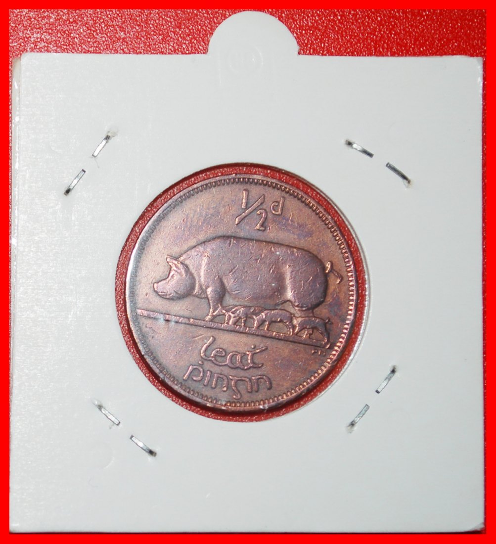  ⰆGREAT BRITAIN (1939-1967):IRELAND★1/2 PENNY 1943 PIG WAR (1939-1945) HOLDER★LOW START ★ NO RESERVE!   