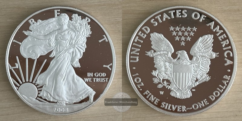  USA, 1 Dollar  2008  Walking Liberty     FM-Frankfurt Feinsilber: 31g   