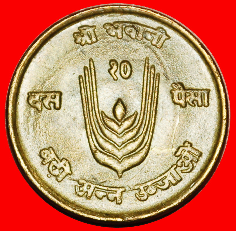  Ⰶ KUH FAO: NEPAL ★ 10 PAISA 2028 (1971) FEHLER! ★OHNE VORBEHALT!   