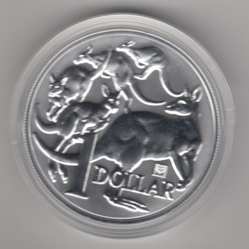  Australien, 1 Dollar 2019, Känguru, mob of roos, Privy Panda, 1 unze oz Silber   