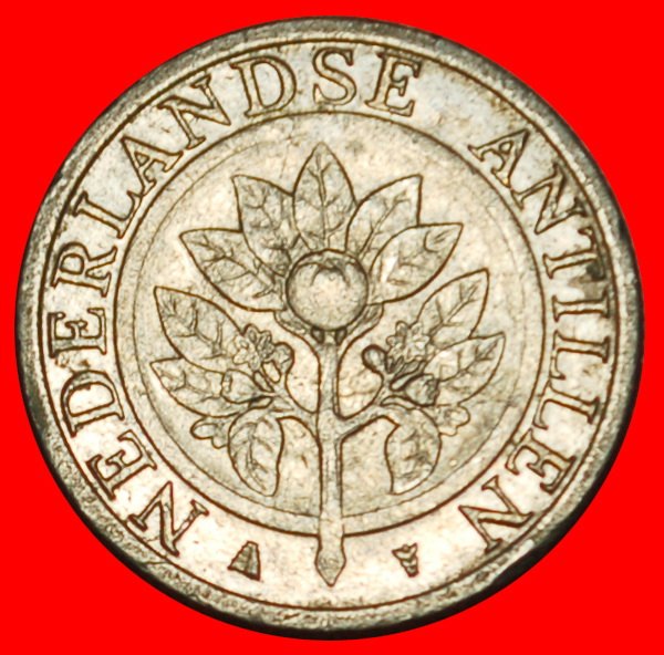  Ⰶ NO ARUBA (1989-2023):NETHERLANDS ANTILLES★5 CENTS 2003★BEATRIX (1980-2013)★LOW START ★ NO RESERVE!   