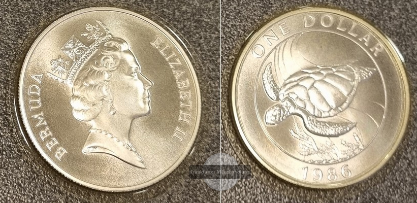  Bermuda  1 Dollar (Schildkröte) 1986  FM-Frankfurt  Feingewicht: 26,16g Silber spiegelglanz   