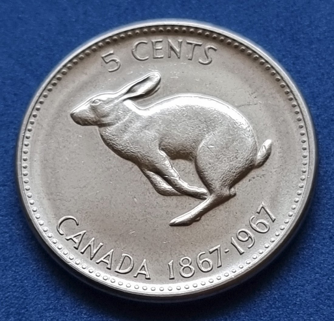  18150(4) 5 Cents (Kanada / Hase) 1967 in UNC- ..................................... von Berlin_coins   