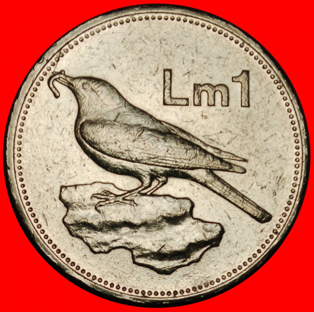  Ⰶ BIRD (1991-2007): MALTA ★ 1 POUND 1994! MINT LUSTRE! LOW START ★ NO RESERVE!   