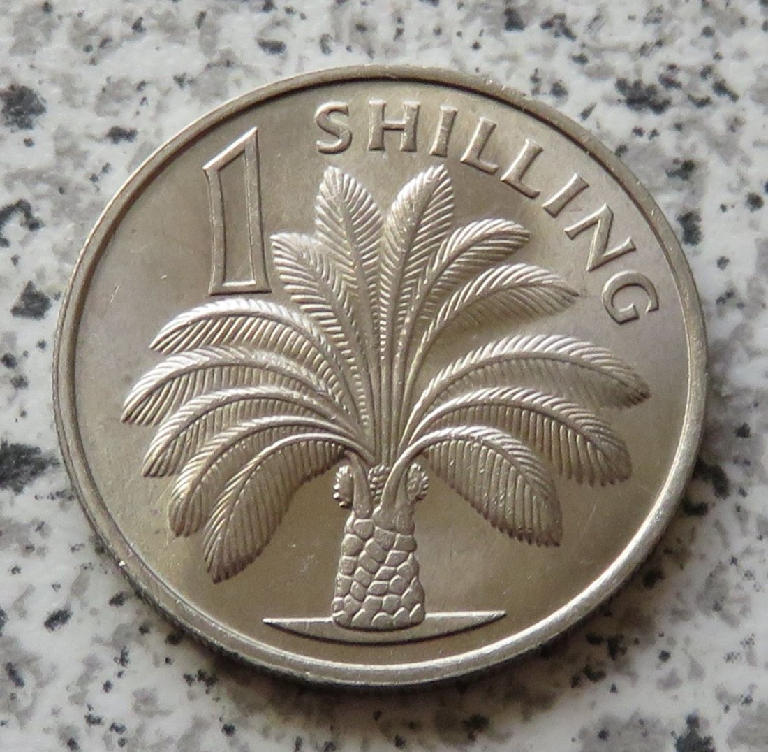  Gambia 1 Shilling 1966   