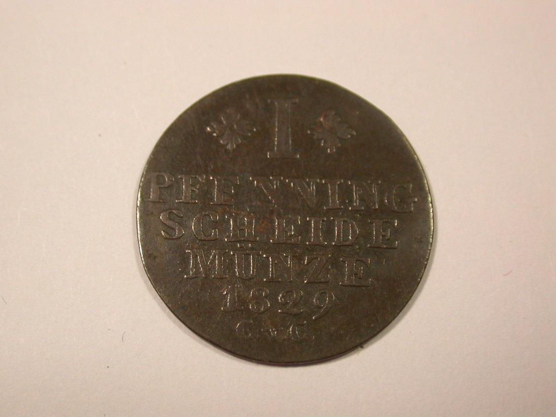  I7  Braunschweig  1 Pfennig 1829 in s-ss   Originalbilder   