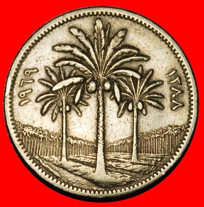  Ⰶ GREAT BRITAIN (1969-1990): IRAQ ★ 50 FILS 1388-1969 PALM TREES! LOW START ★ NO RESERVE!   