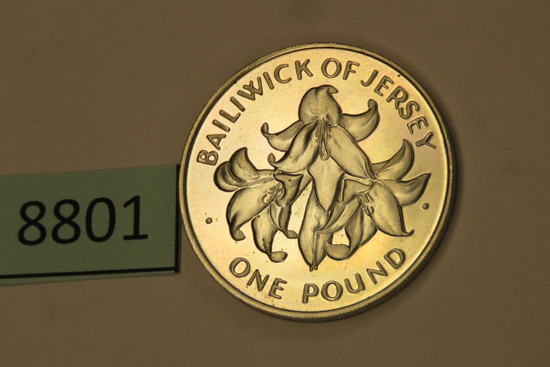  8801 Jersey 1972 - 1 pound - Silberhochzeit - 10,84 g Silber 0.925   