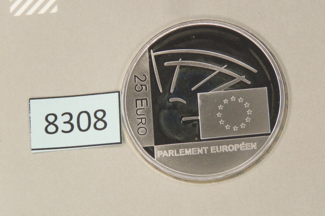  8308 Luxemburg 2004 - 25 Euro - 25 Jahre Europawahl - 22,85 g Silber 0.925   