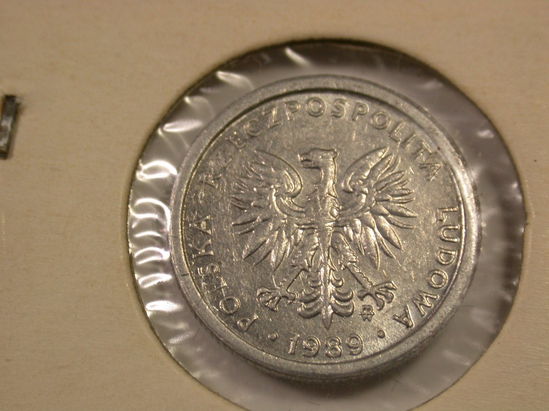  I8 Polen  1 Zloty 1989 in f.vz, im Münzrähmchen  Originalbilder   