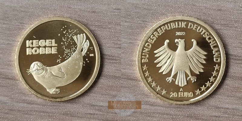 BRD  20 Euro MM-Frankfurt  Feingold: 3,89g Kegelrobbe 2022 A 