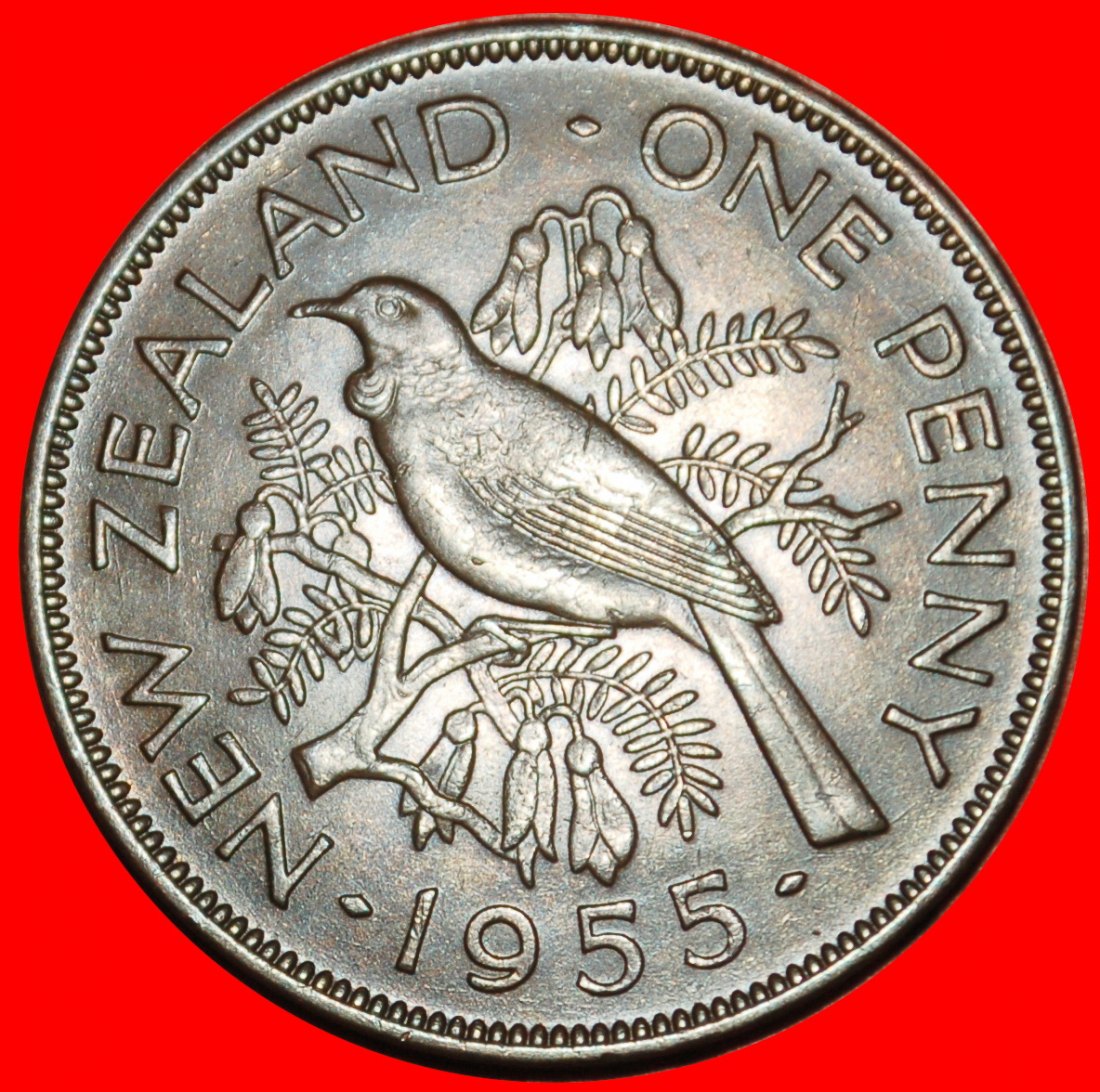  Ⰶ GROSSBRITANNIEN (1953-1965): NEUSEELAND★PENNY 1955 NACKT ELISABETH II. (1953-2022)★OHNE VORBEHALT!   