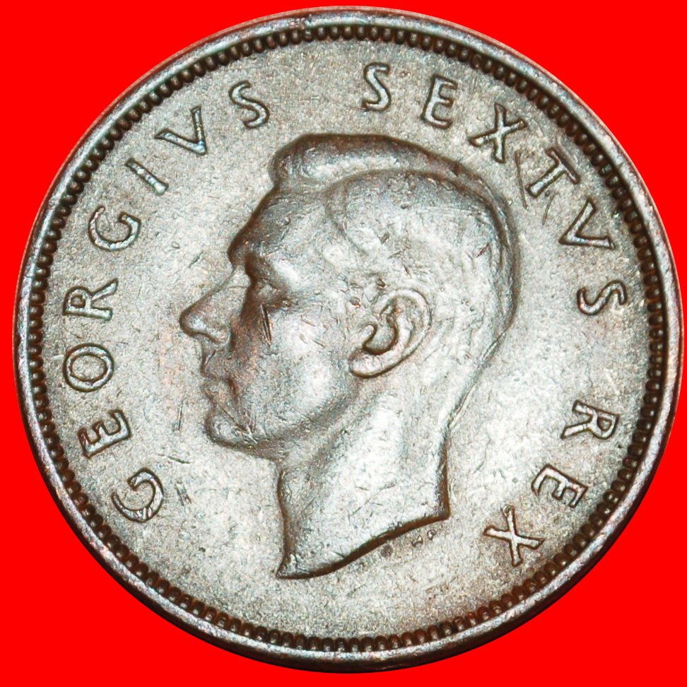  Ⰶ NO INDIA (1948-1950): SOUTH AFRICA★1/2 PENNY 1950 SHIP! GEORGE VI 1937-1952★LOW START★ NO RESERVE!   