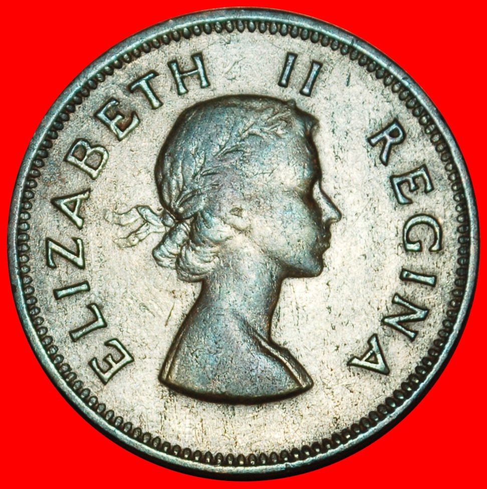  Ⰶ ELISABETH II. (1953-2022): SÜDAFRIKA ★ 1/2 PENNY 1953 SCHIFF (1953-1960)!★OHNE VORBEHALT!   