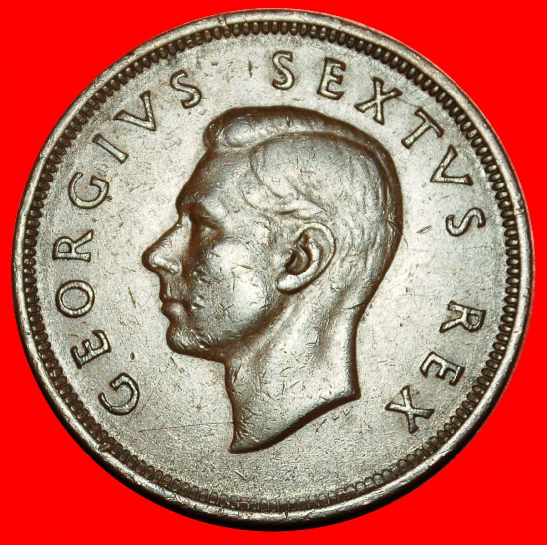  Ⰶ OHNE INDIEN (1948-1952): SÜDAFRIKA ★ 1 PENNY 1952 SCHIFF! GEORG VI. (1937-1952)★OHNE VORBEHALT!   