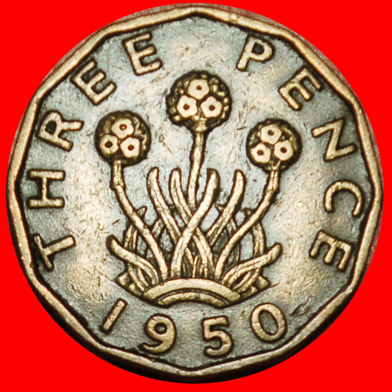  Ⰶ NO INDIA (1949-1952): GREAT BRITAIN ★ 3 PENCE 1950 THRIFT GEORGE VI (1937-★LOW START ★ NO RESERVE!   