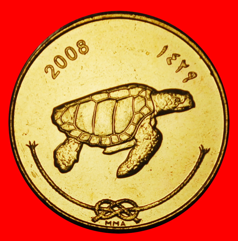  Ⰶ GREAT BRITAIN: MALDIVES ★ 50 LAARI 1429-2008 TURTLE! UNC MINT LUSTRE! ★LOW START ★ NO RESERVE!   