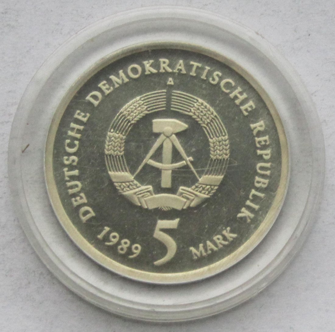  DDR: 5 Mark Zwickau 1989, Polierte Platte   