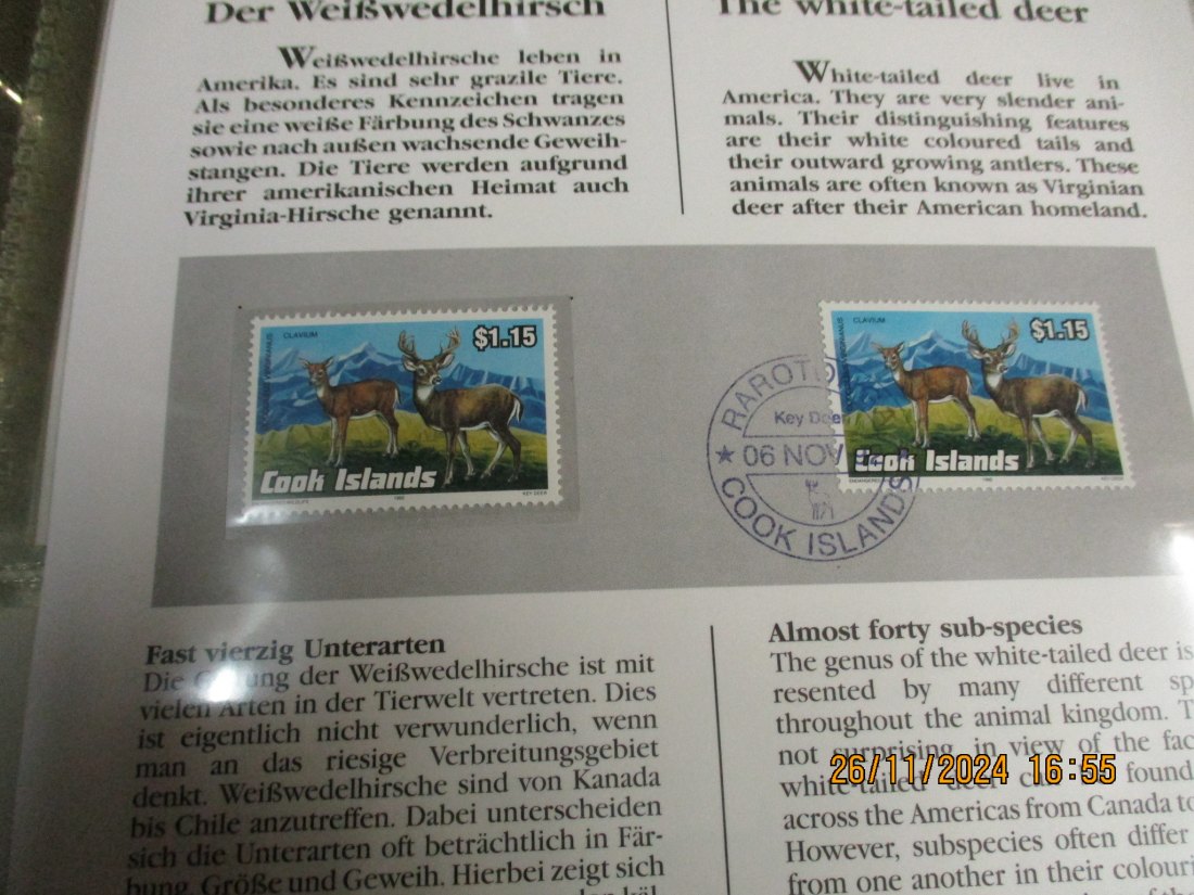  5 Dollars Cook Islands 1991 Numisbrief Weißwendelhirsch Gefährdete Tierwelt mit Briefmarken   