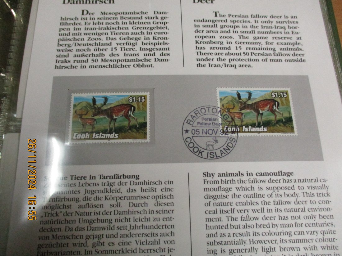  5 Dollars Cook Islands 1991 Numisbrief Damhirsch Gefährdete Tierwelt mit Briefmarken   