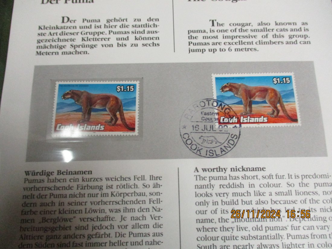  5 Dollars Cook Islands 1991 Numisbrief Der Puma Gefährdete Tierwelt mit Briefmarken   