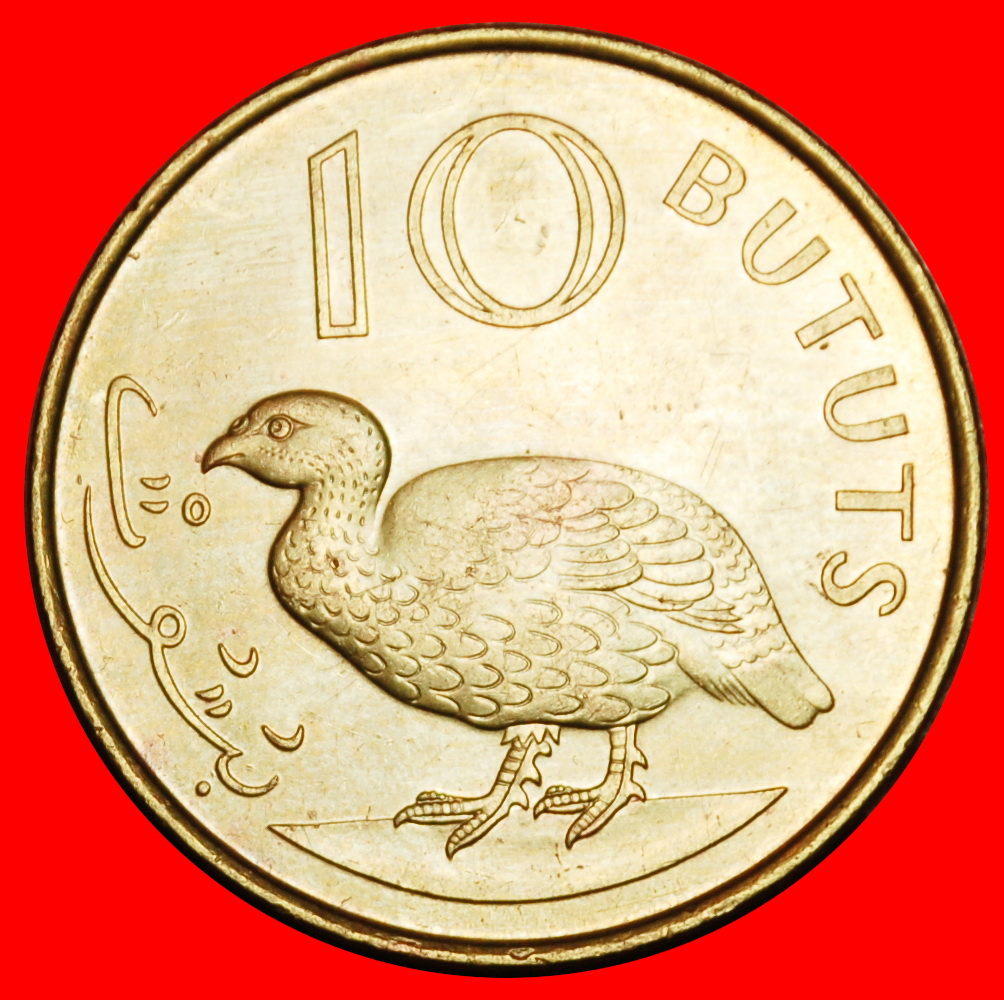  Ⰶ GREAT BRITAIN: THE GAMBIA ★ 10 BUTUTS 1998 BIRD! ★LOW START ★ NO RESERVE!   