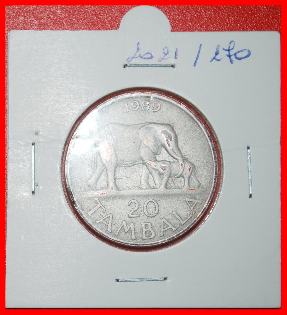  Ⰶ GREAT BRITAIN (1989-1994): MALAWI ★ 20 TAMBALA 1989 ELEPHANT! BANDA (1963-★LOW START ★ NO RESERVE!   