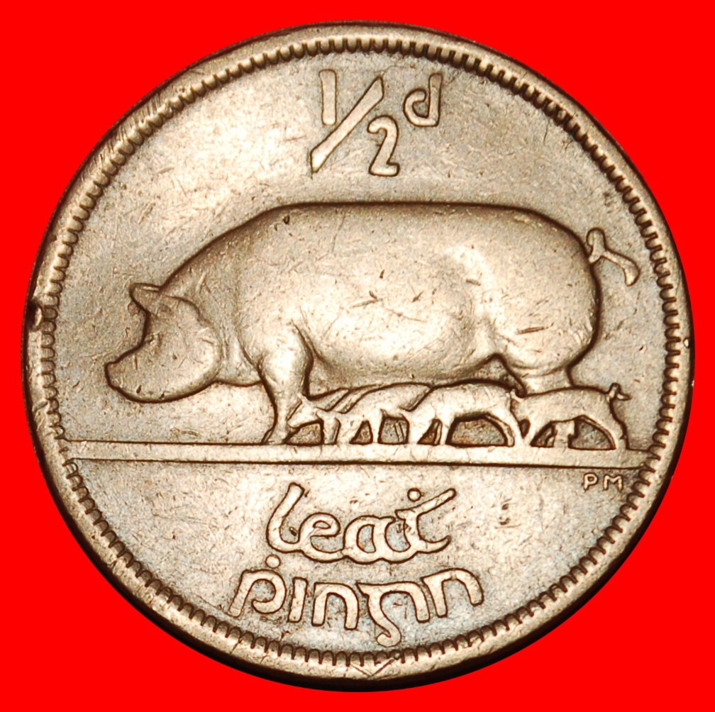  Ⰶ GROSSBRITANNIEN (1928-1937): IRLAND ★ 1/2 PENNY 1928 SCHWEIN! ★OHNE VORBEHALT!   