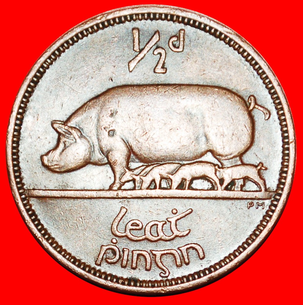  Ⰶ GROSSBRITANNIEN (1939-1967): IRLAND ★1/2 PENNY 1964 SCHWEIN! ★OHNE VORBEHALT!   