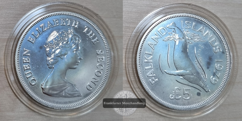  Falkland Inseln  5 Pfund  1979  FM-Frankfurt/M  Feingewicht: 26,16g Silber   