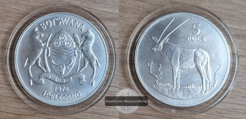  Botswana  5 Pula  1978  FM-Frankfurt/M  Feingewicht: 14,25g Silber  stempelglanz   