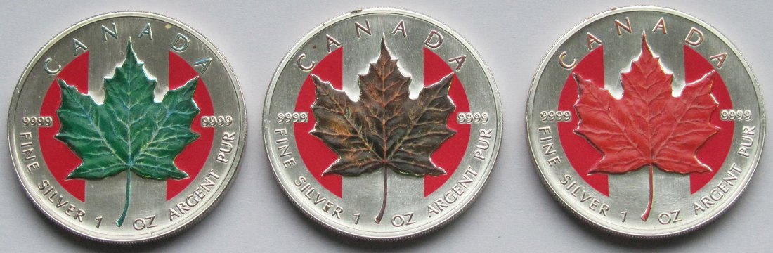  Kanada: Drei Silberunzen Maple Leaf 1999, koloriert   