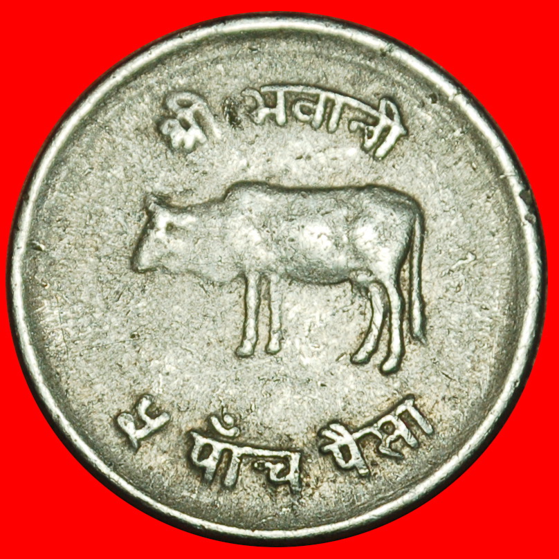  Ⰶ COW (1971-1982): NEPAL ★ 5 PAISA 2032 (1975) ERROR! ★LOW START ★ NO RESERVE!   