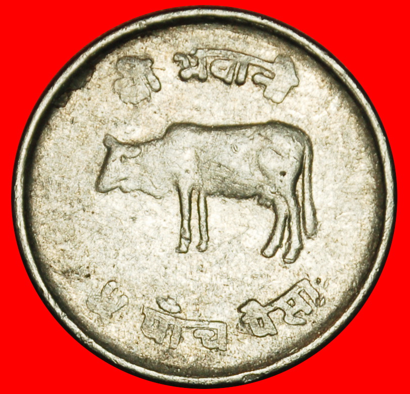  Ⰶ COW (1971-1982): NEPAL ★ 5 PAISA 2035 (1978) ERROR! ★LOW START ★ NO RESERVE!   