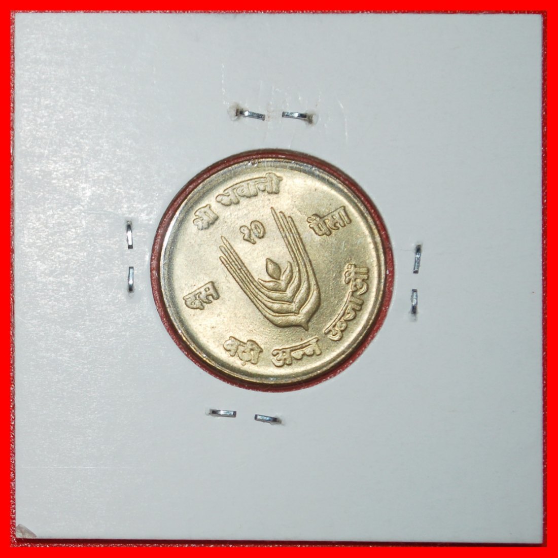  Ⰶ COW FAO: NEPAL ★ 10 PAISA 2028 (1971) ERROR! IN HOLDER! UNC MINT LUSTRE!★LOW START ★ NO RESERVE!   