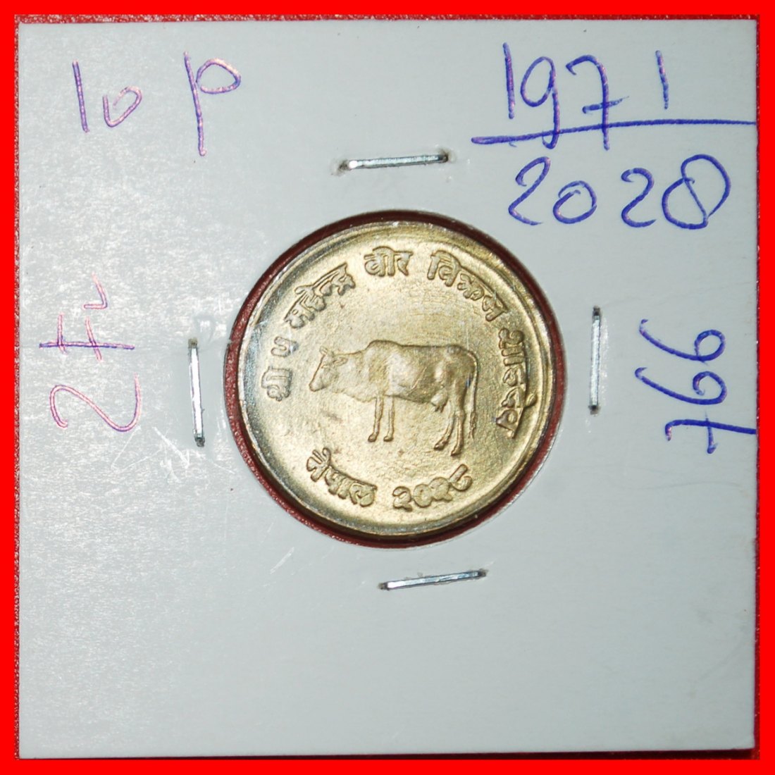  Ⰶ COW FAO: NEPAL ★ 10 PAISA 2028 (1971) ERROR! IN HOLDER! UNC MINT LUSTRE!★LOW START ★ NO RESERVE!   