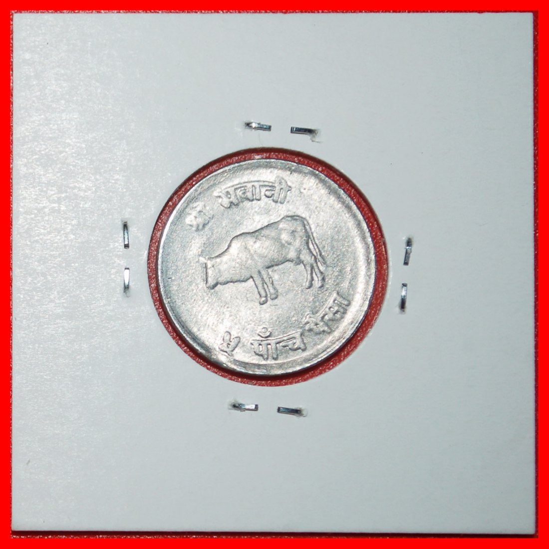  Ⰶ COW (1971-1982): NEPAL ★ 5 PAISA 2032 (1975) ERROR! IN HOLDER!  UNC LUSTRE★LOW START ★ NO RESERVE!   