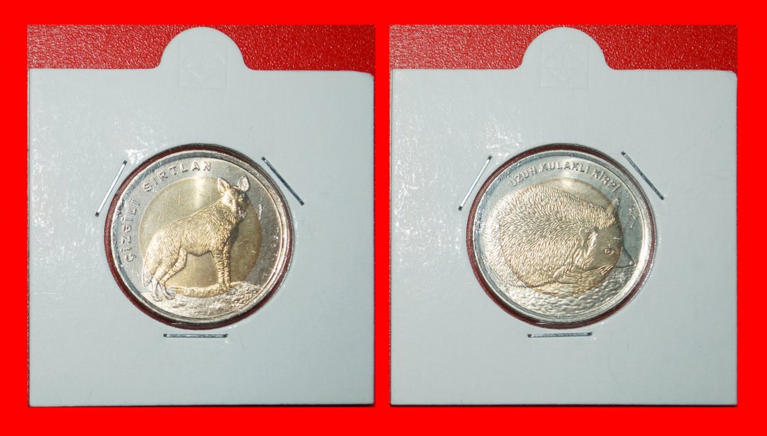  Ⰶ RARE: TURKEY ★ 1 LIRA 2014 HYENA & HEDGEHOG UNC SET! IN HOLDERS!★LOW START★NO RESERVE!   