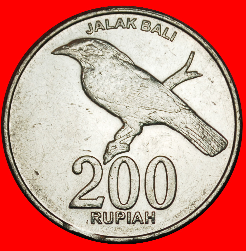  Ⰶ BIRD: INDONESIA ★ 200 RUPIAH 2003! Not 2008! MINT LUSTRE! LOW START ★ NO RESERVE!   