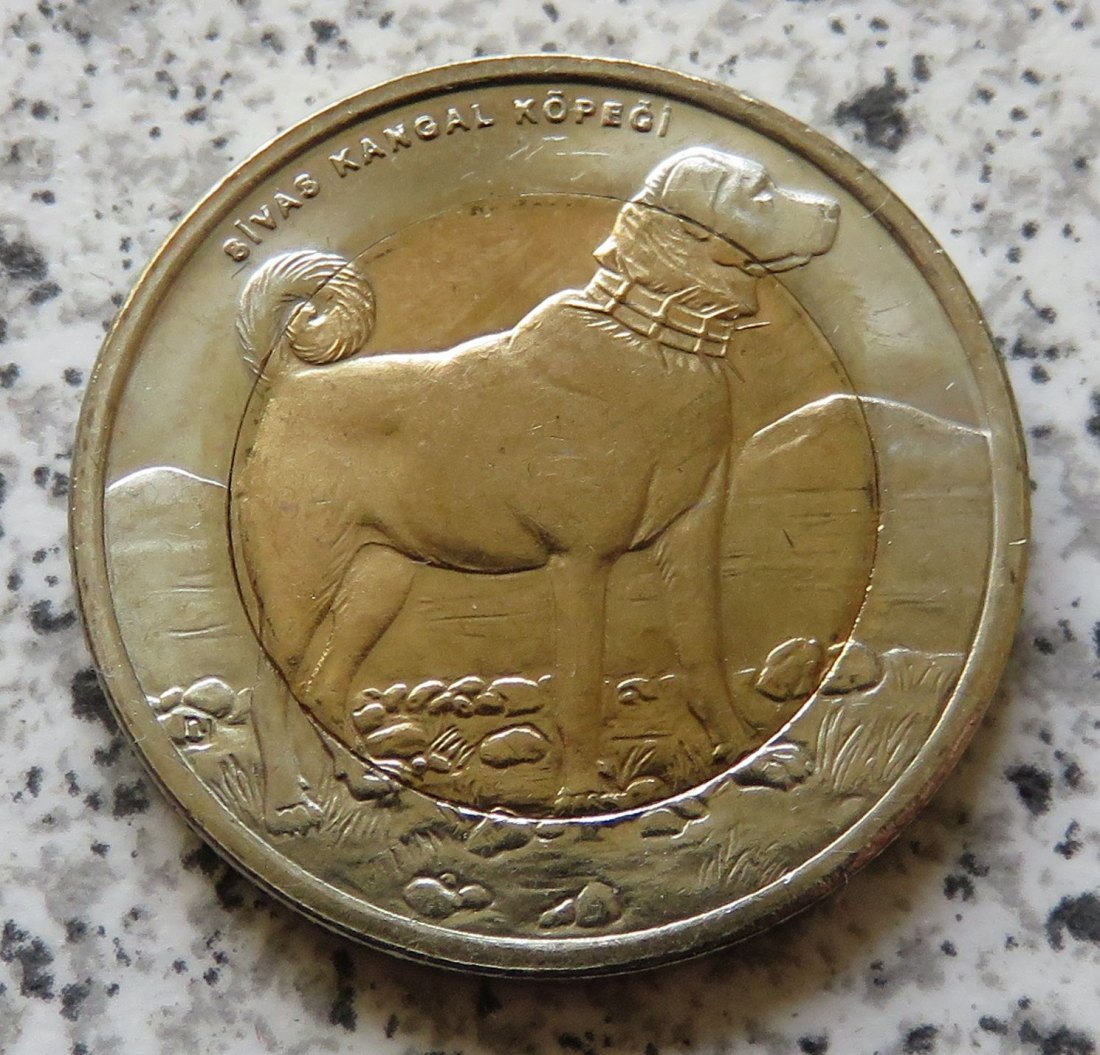  Türkei 1 Lira 2010 Türkischer Kangalhund   