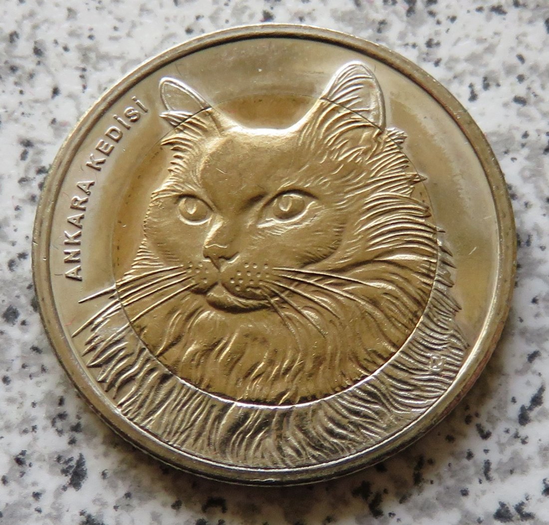  Türkei 1 Lira 2010 Türkische Angora Katze   