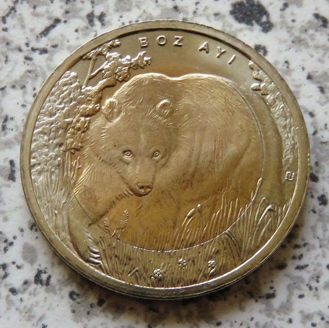  Türkei 1 Lira 2011 Braunbär   