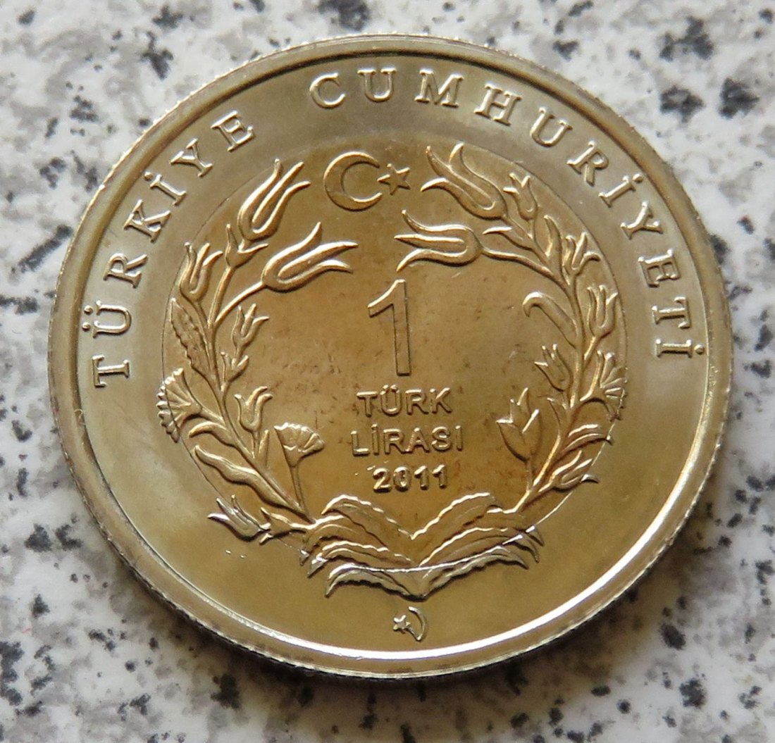  Türkei 1 Lira 2011 Braunbär   