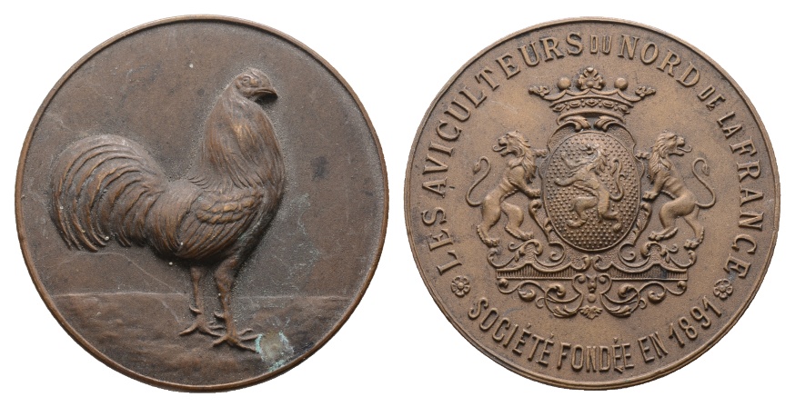  Medaille 1891; Frankreich; Bronze; 24,07 g; Ø 41,04   