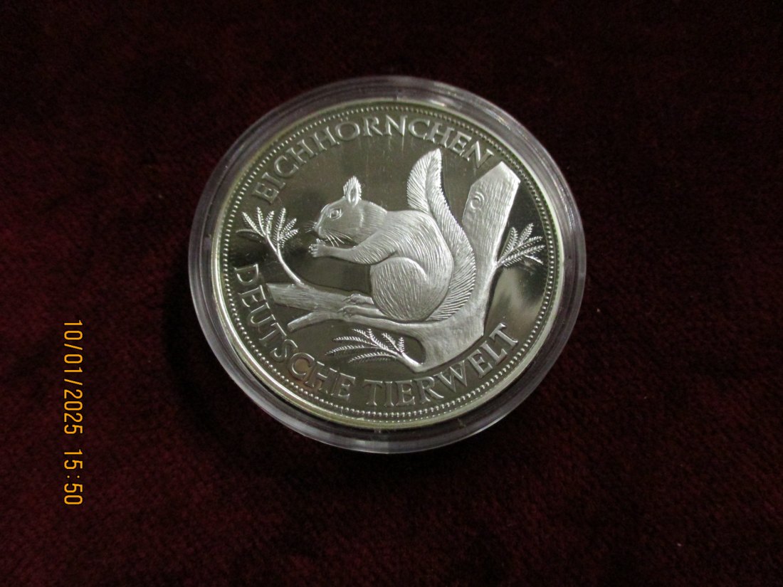  Deutsche Tierwelt Silber - Medaille 999er Silber - Gewicht 20g Eichhörnchen -1100034   