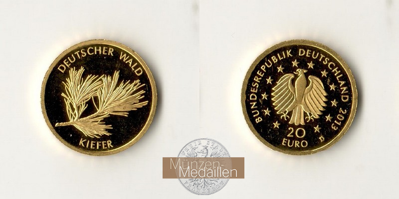 BRD  20 Euro MM-Frankfurt  Feingold: 3,89g German Forest - Pine Tree 2013 D 