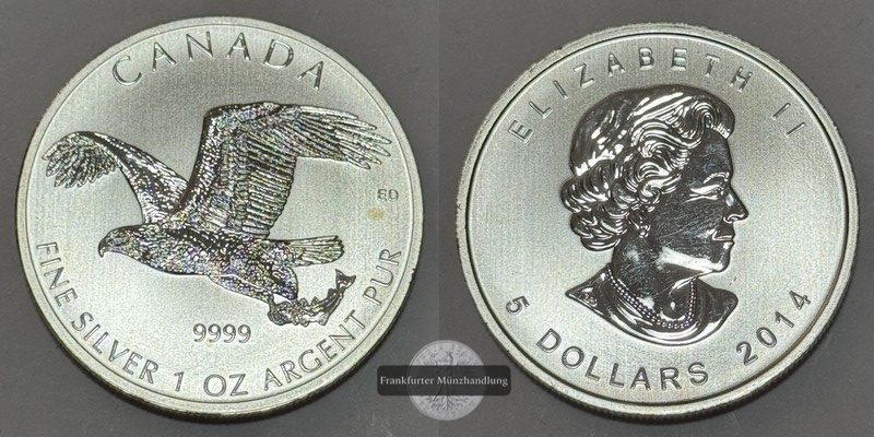  Canada 5 Dollar 2014 Raubvögel - Weißkopfseeadler FM-Frankfurt  Feinsilber: 31.1g   