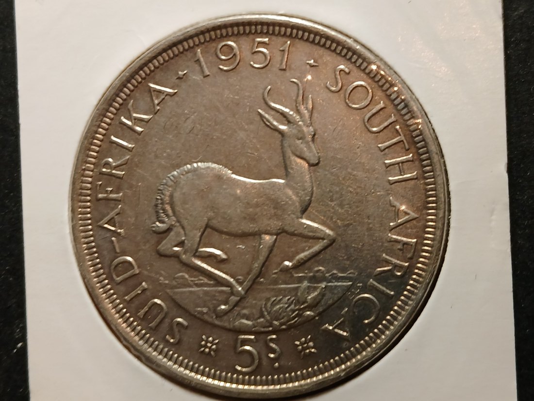  South Africa - 5 Shilling 1951 silber   