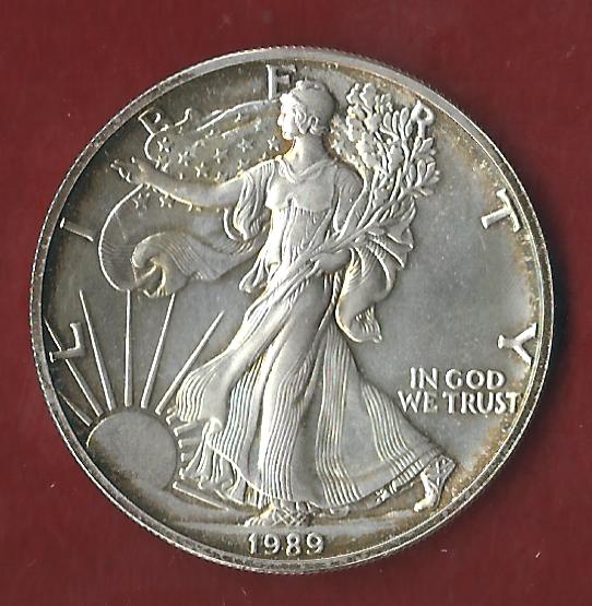  USA 1 D. Silver Eagle 1989 St  ohne Kapsel. Koblenzer Münzen Studio Koblenz Frank Maurer AH653   