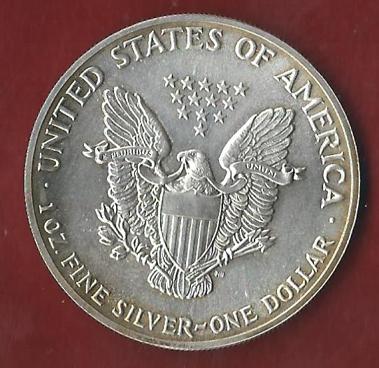  USA 1 D. Silver Eagle 1989 St  ohne Kapsel. Koblenzer Münzen Studio Koblenz Frank Maurer AH653   